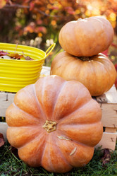 Similar image 5538499