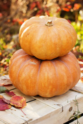 Similar image 5538520