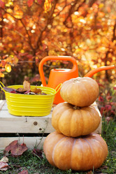 Similar image 5538521