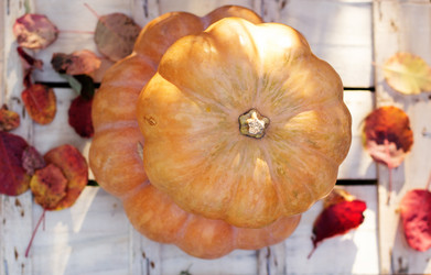 Similar image 5538522