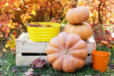 Similar image 5538524