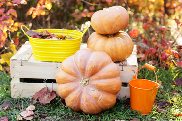 Similar image 5538526