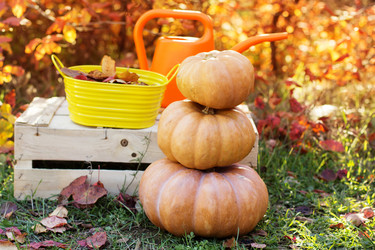 Similar image 5538527