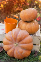 Similar image 5538528