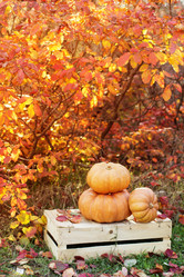 Similar image 5538529