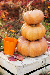 Similar image 5538530