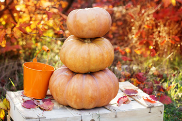 Similar image 5538533