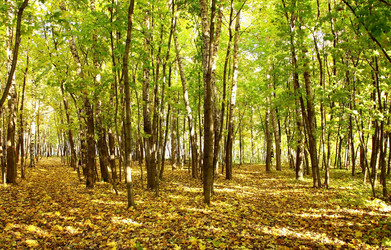 Similar image 5538539