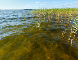 Similar image 5538629