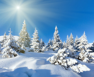 Similar image 5538649