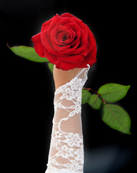 Similar image 5538716