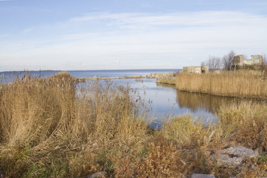 Similar image 5539119