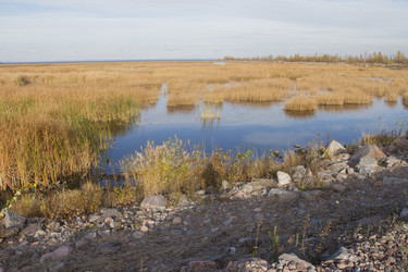 Similar image 5539120