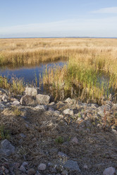 Similar image 5539121