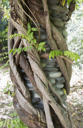 Similar image 5539123