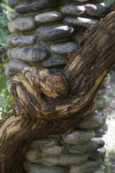 Similar image 5539124