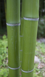 Similar image 5539142