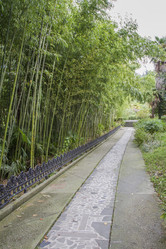 Similar image 5539156