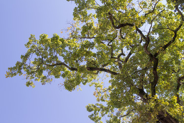 Similar image 5539168