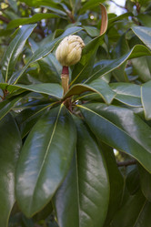 Similar image 5539171