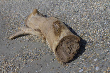 Similar image 5539184