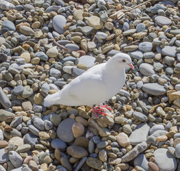 Similar image 5539186