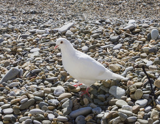 Similar image 5539187