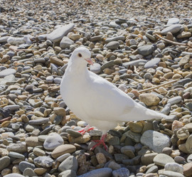 Similar image 5539198