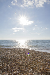 Similar image 5539222