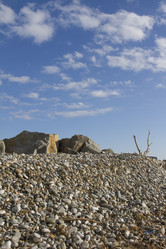 Similar image 5539223