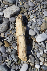 Similar image 5539224