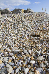 Similar image 5539228