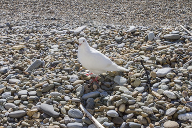 Similar image 5539230