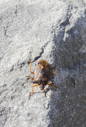 Similar image 5539235