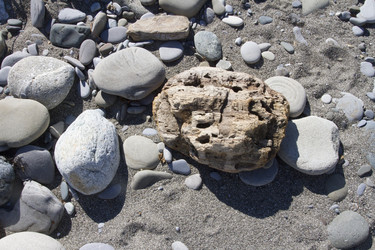 Similar image 5539238