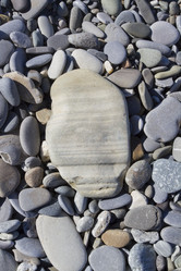 Similar image 5539245