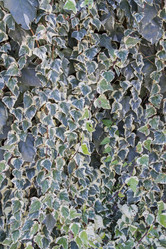 Similar image 5539258