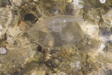 Similar image 5539269