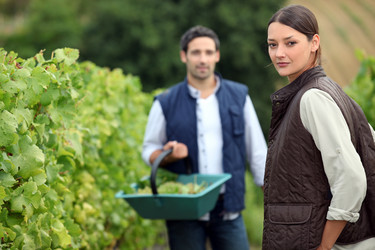 Similar image 5539313