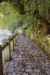 Similar image 5539337