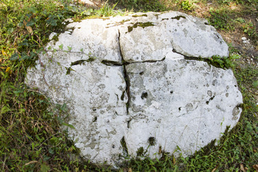 Similar image 5539342