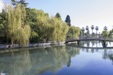 Similar image 5539348