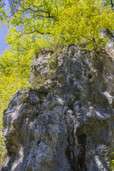 Similar image 5539353