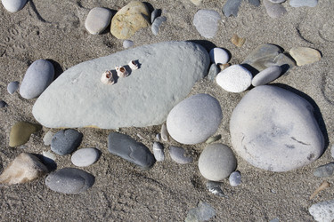 Similar image 5539354