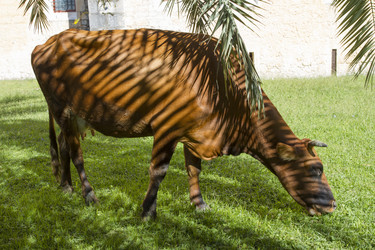 Similar image 5539358