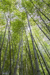 Similar image 5539380