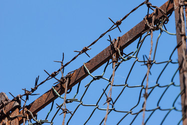 Similar image 5539398