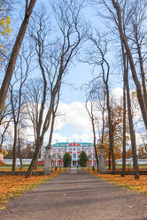 Similar image 5539401