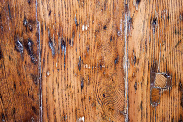 Similar image 5539407