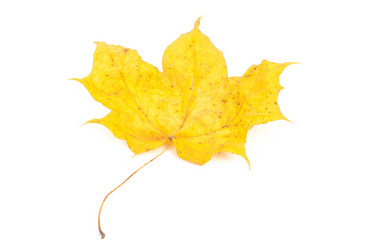 Similar image 5539425